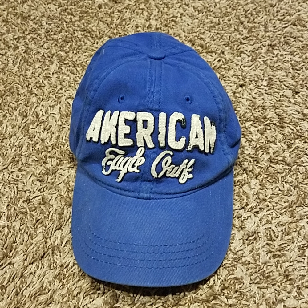 Mens American Eagle outfitters blue fitted hat cap